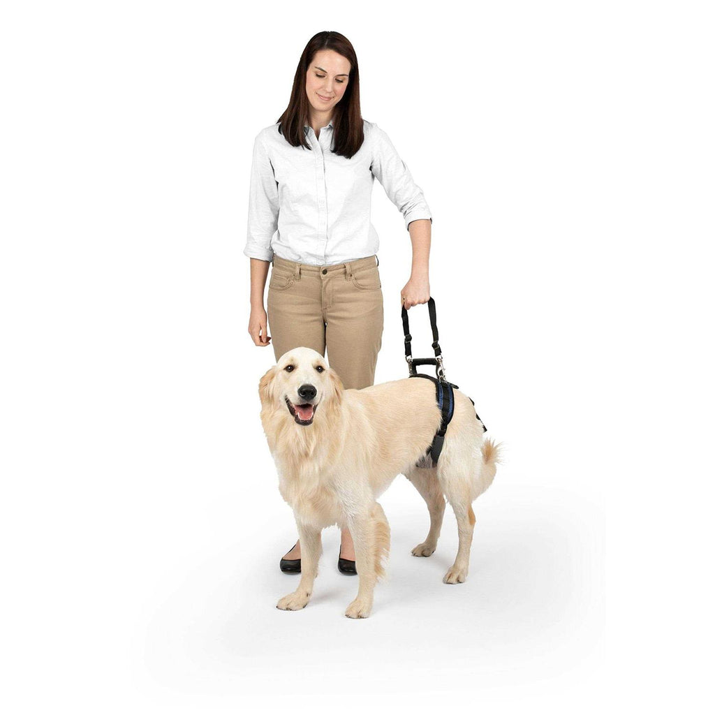 Dog Rear Harness C875