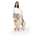Dog Rear Harness C875