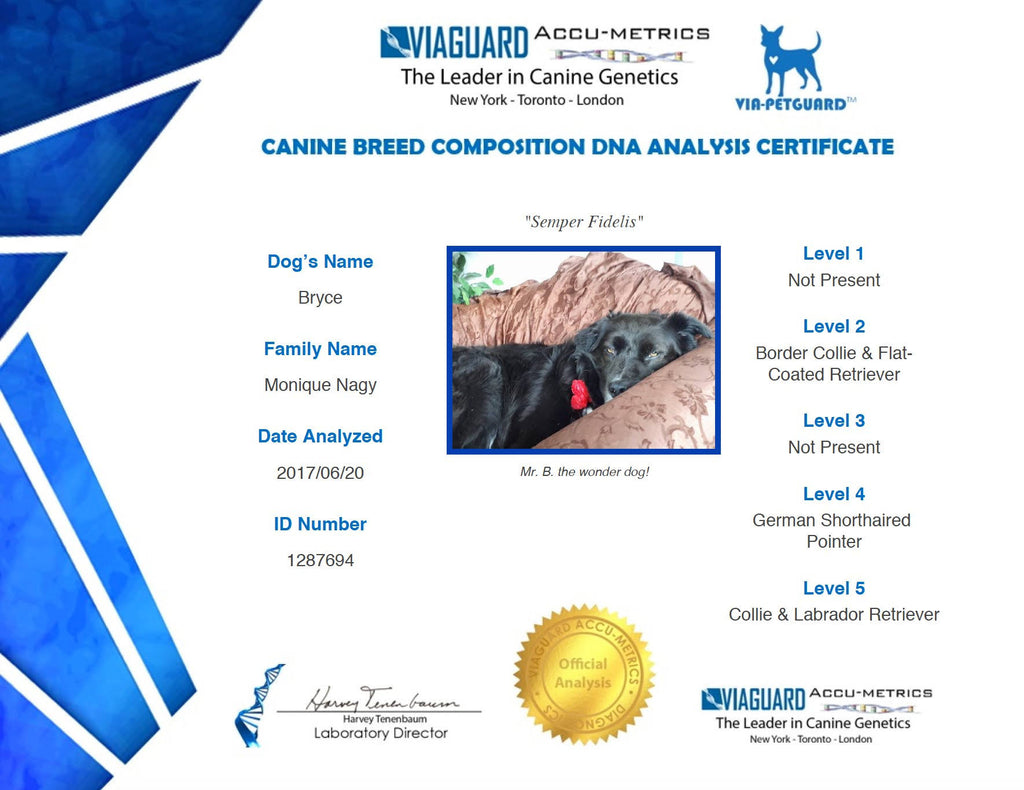 Dog DNA Breed Identification Test Cheek Swab Kit P42870
