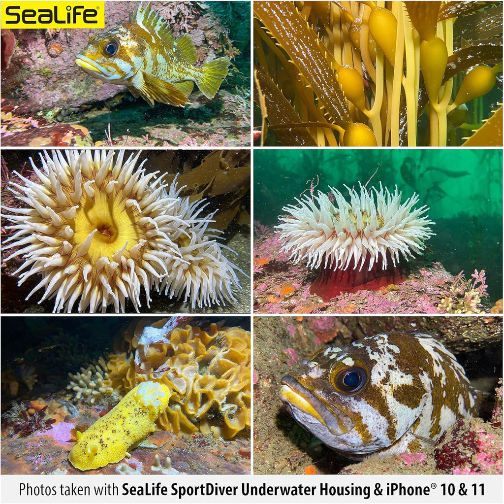 Waterproof Smartphone Scuba Case U255