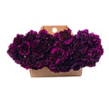 140 Stems Carnations V627