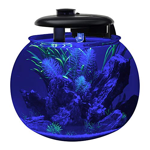 Large Bowl-Shaped Aquarium with LED Light Display U458
