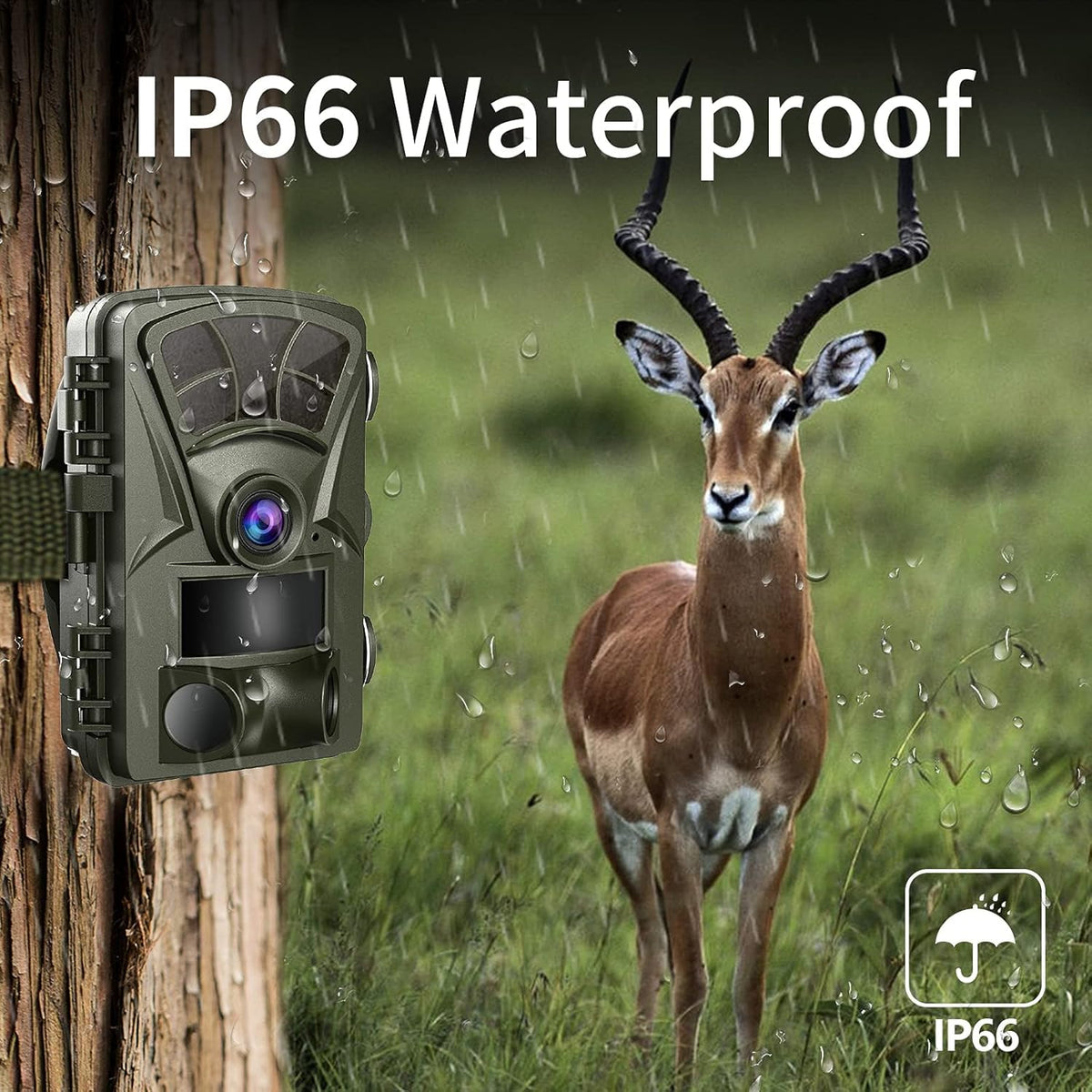 21MP 1080P Trail Camera with Night Vision X65008