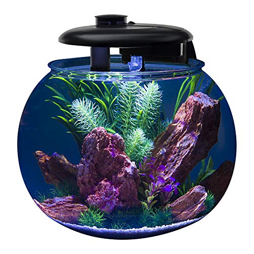 Large Bowl-Shaped Aquarium with LED Light Display U458