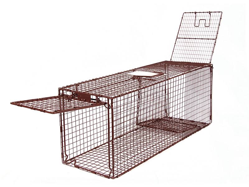 36D Humane Live Animal Trap X79528