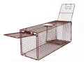 36D Humane Live Animal Trap X79528