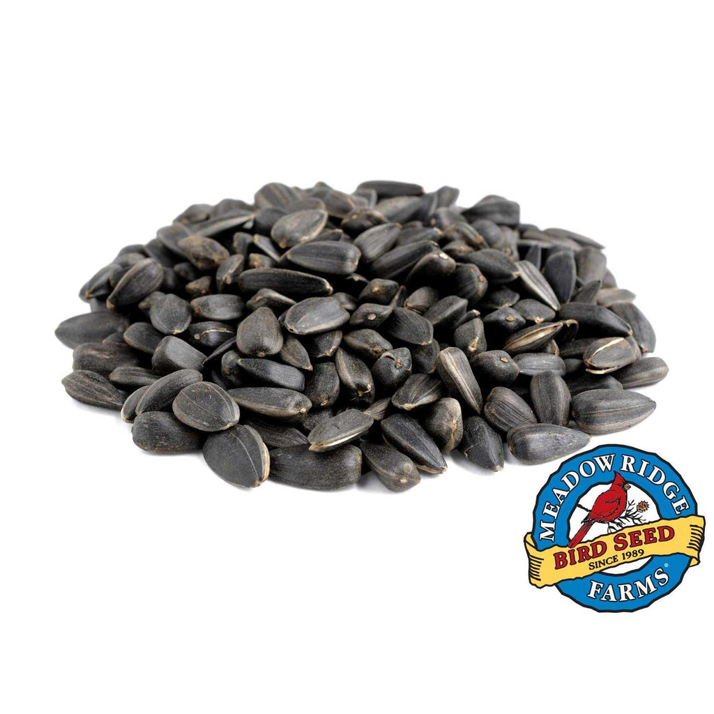20-Lb. Black Oil Sunflower Bird Seeds O24609