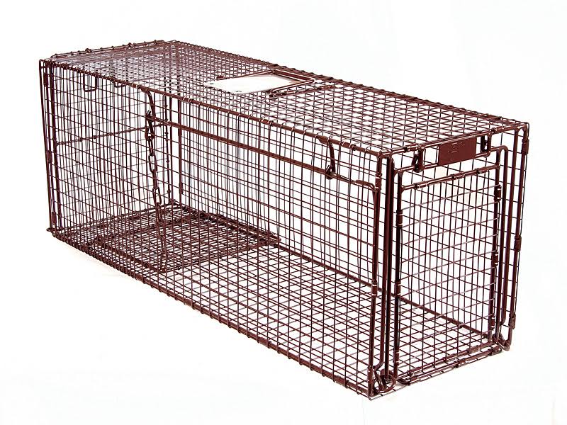 36D Humane Live Animal Trap X79528