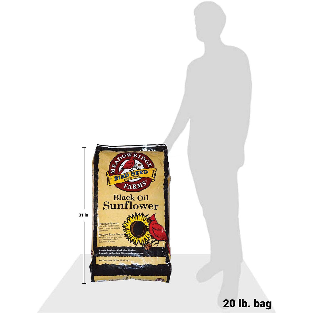 20-Lb. Black Oil Sunflower Bird Seeds O24609