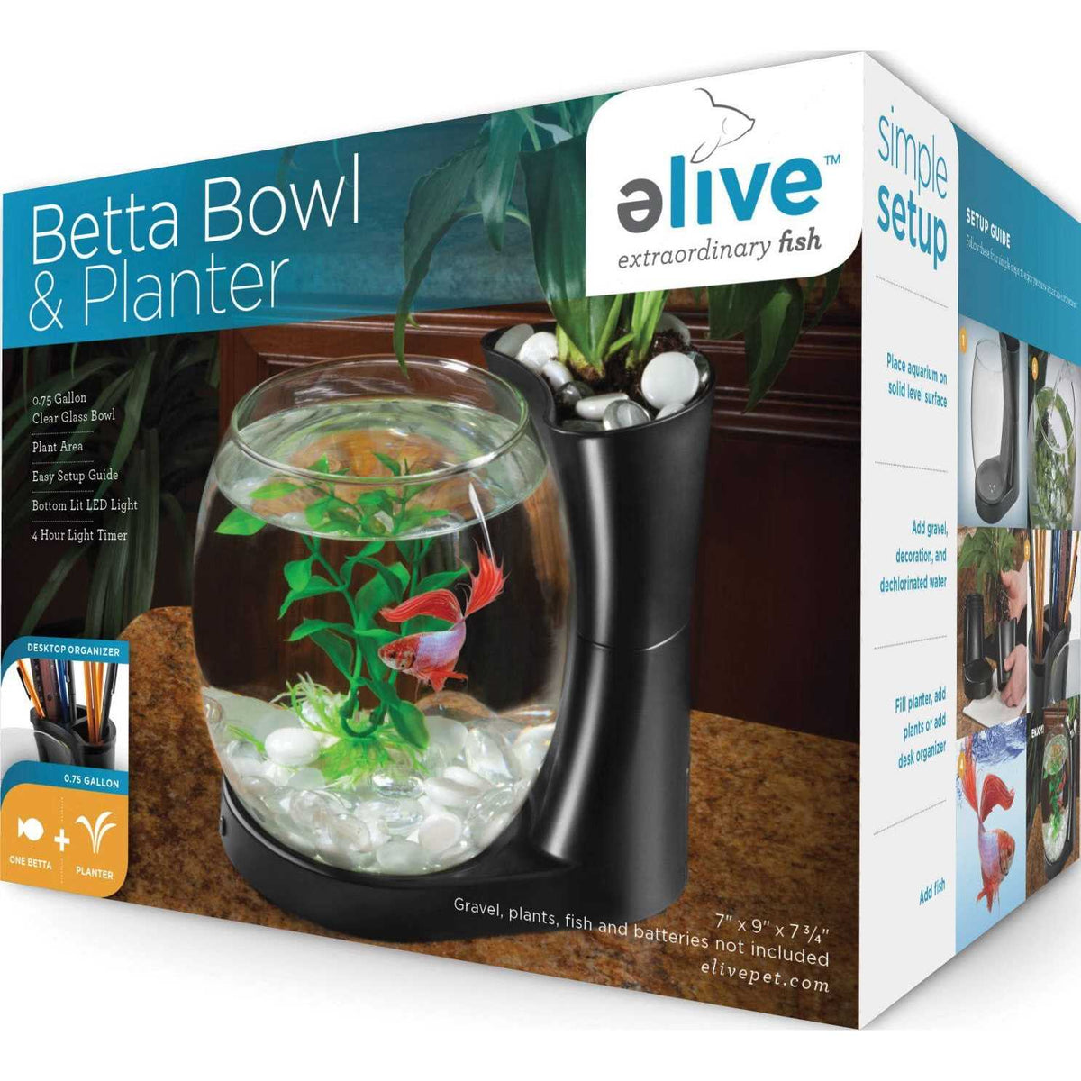 Betta Fish Bowl with Planter G879