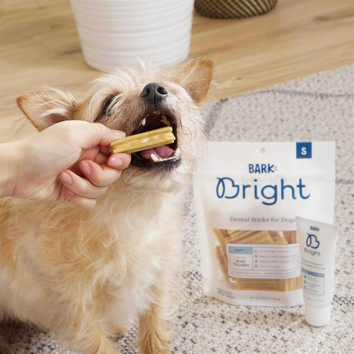 Dental Sticks for Large Dogs Chews B417844