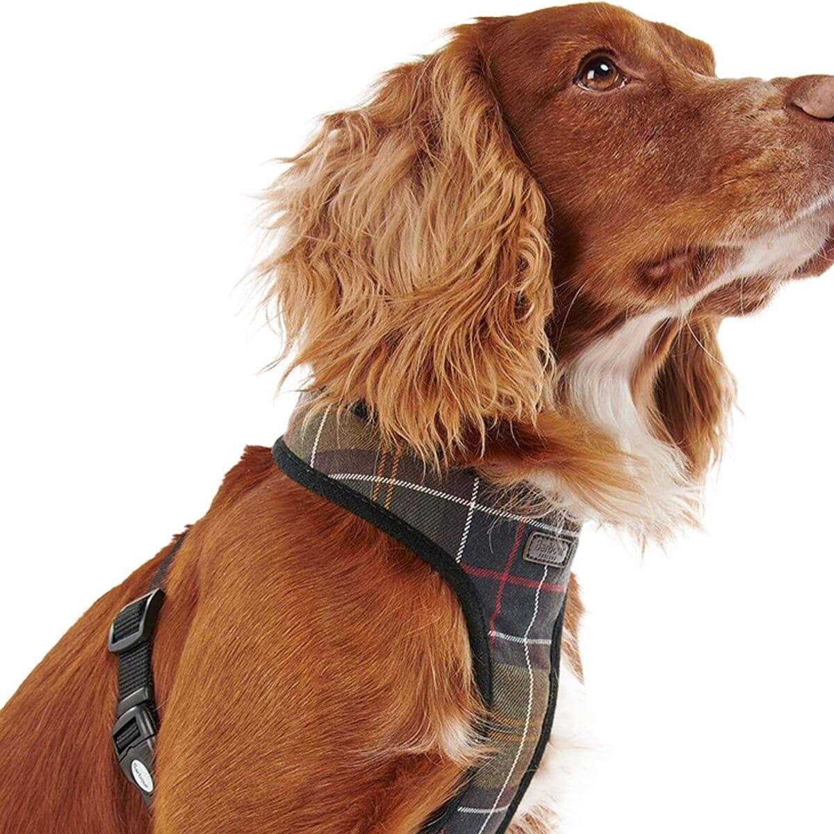 Tartan Dog Harness H92705