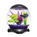 1.3 Gallon Tank N120930