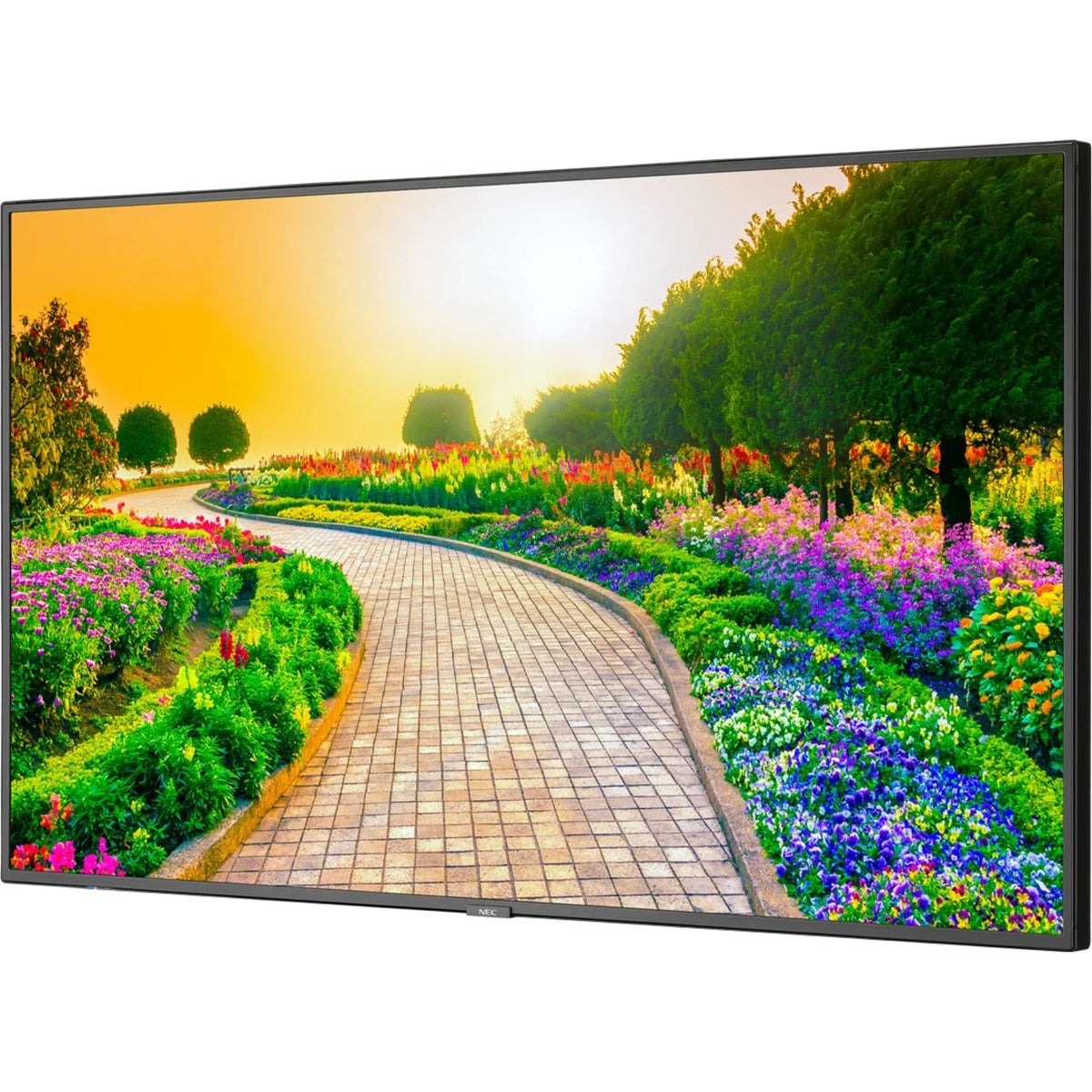 Black 43" 3840 x 2160 (4K) LED LCD Monitor J75535