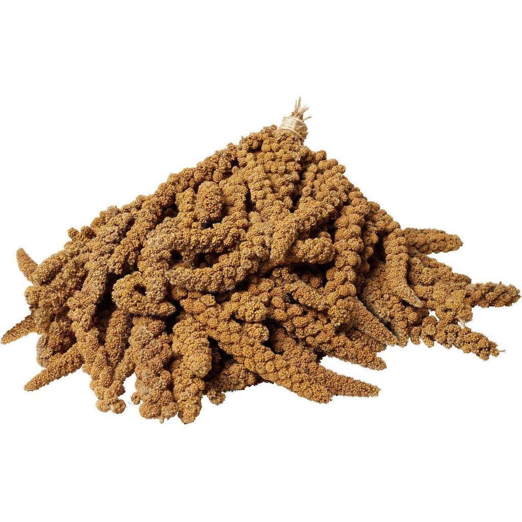 Millet Spray Q283