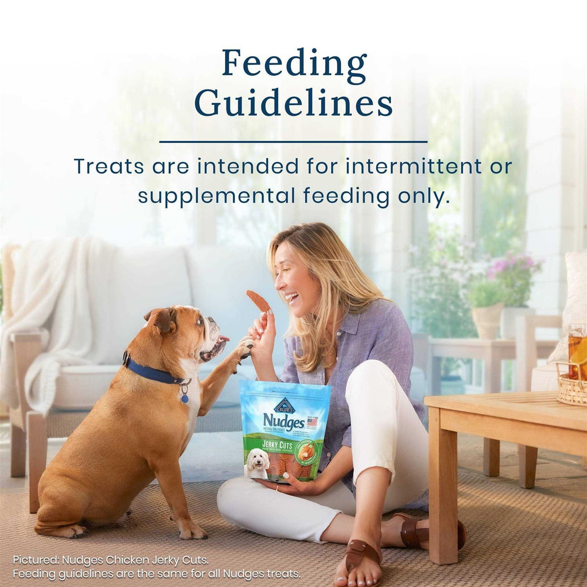 Natural Dog Treats O75409