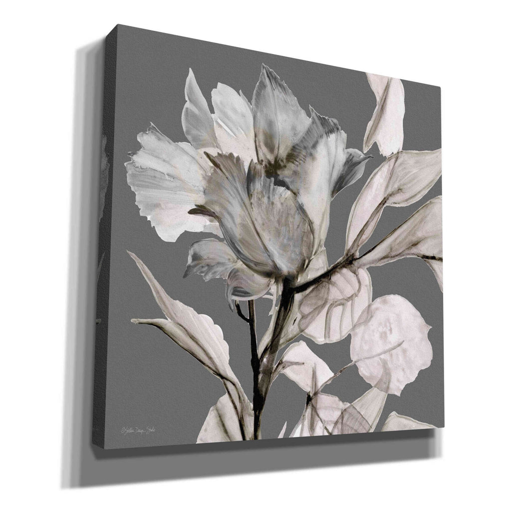 Floral in Gray 2 Canvas Wall Art 18"x18" T212746