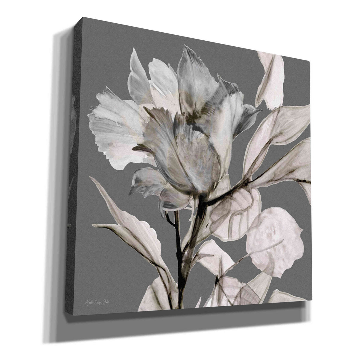 Floral in Gray 2 Canvas Wall Art 18"x18" T212746