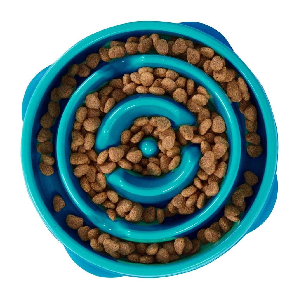 Fun Feeder Bowl I739438