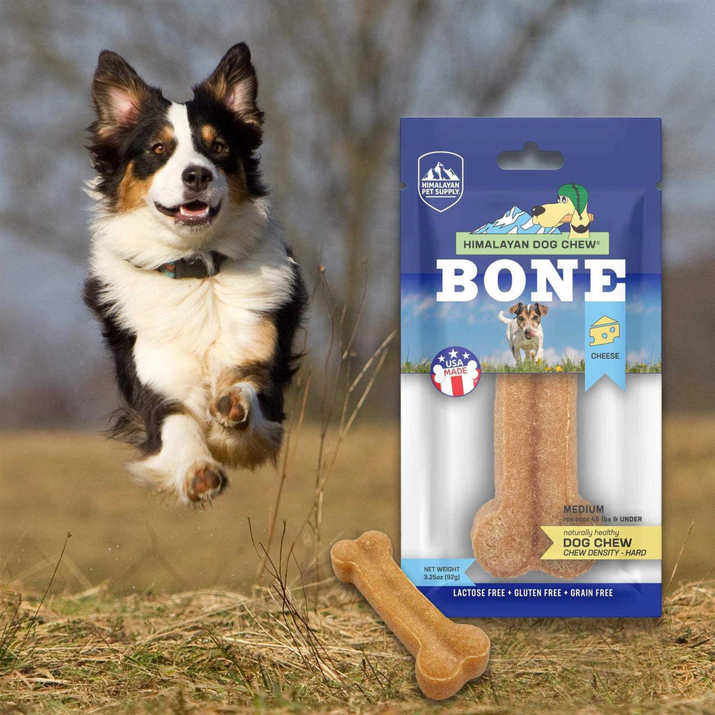 Dog Chew Bone K5458