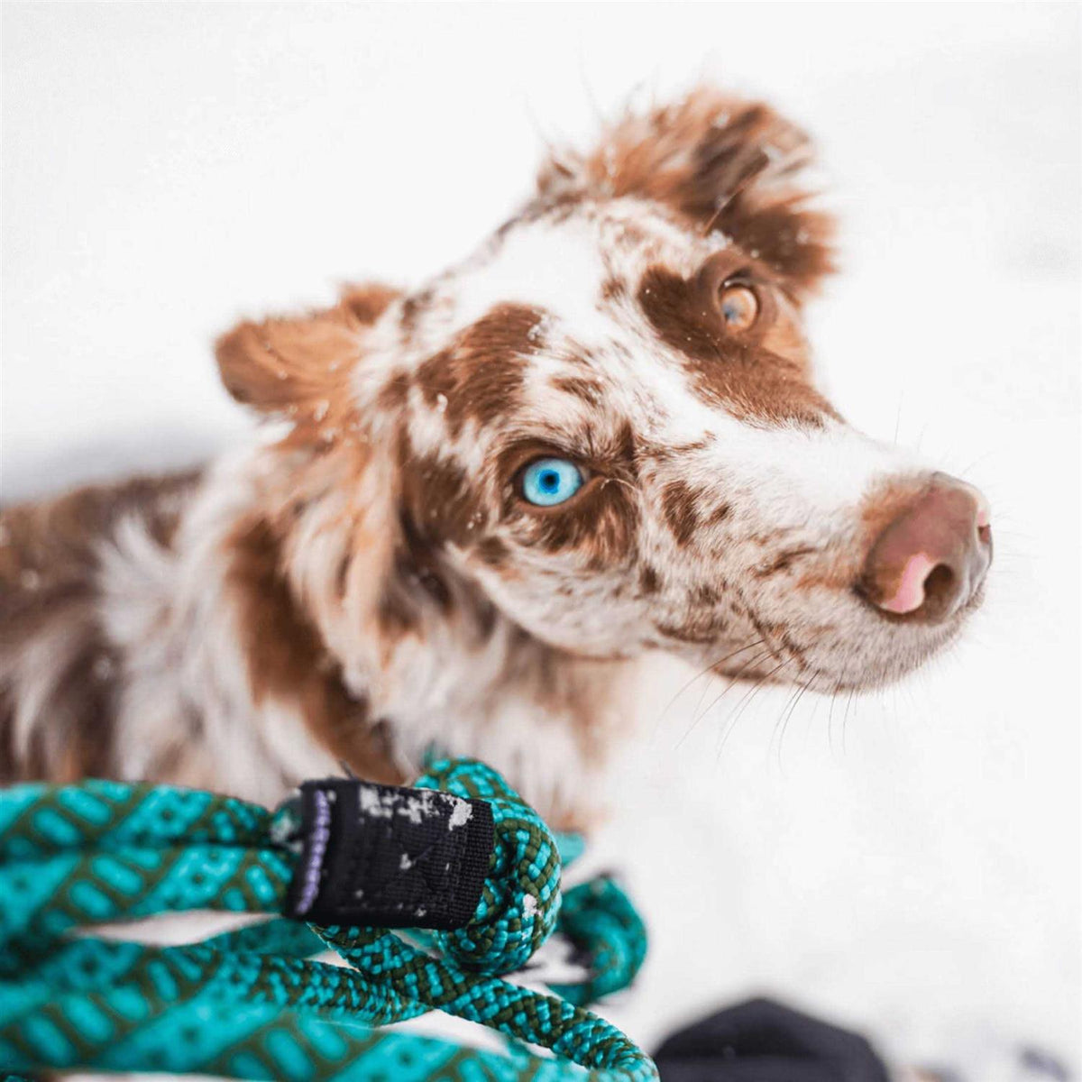 Carabiner Rope Leash U303
