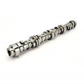 Camshaft GM Gen V LT1 C14778