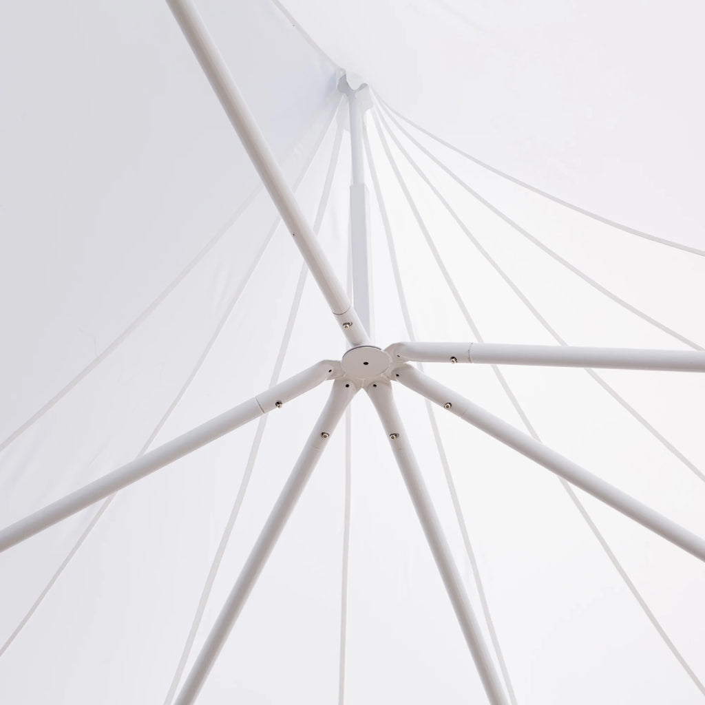 Canopy Party Event Tent with 2 Pull-Back Doors and Windows T411568