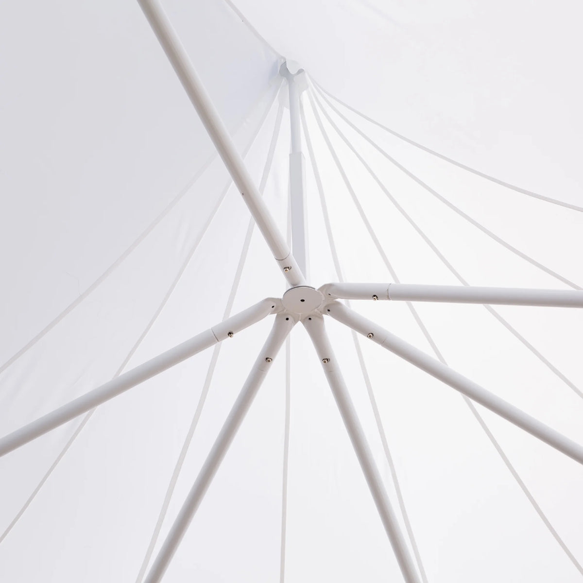 Canopy Party Event Tent with 2 Pull-Back Doors and Windows T411568