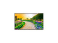 Black 43" 3840 x 2160 (4K) LED LCD Monitor J75535