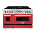 48 Inch Gas Range with Gas Oven Stainless Steel P39981