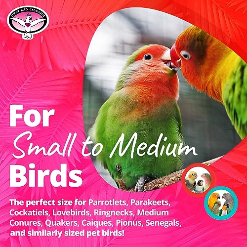 Vine Ball Candy Cane Bird Toy X182758