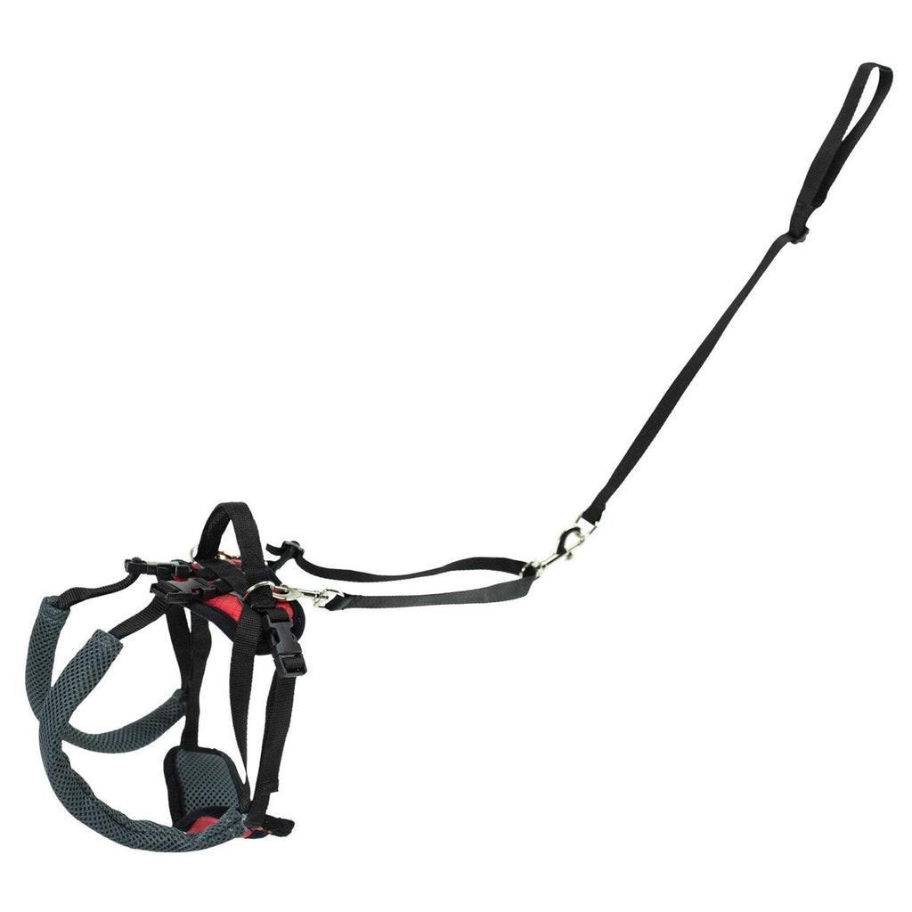 Dog Rear Harness C875