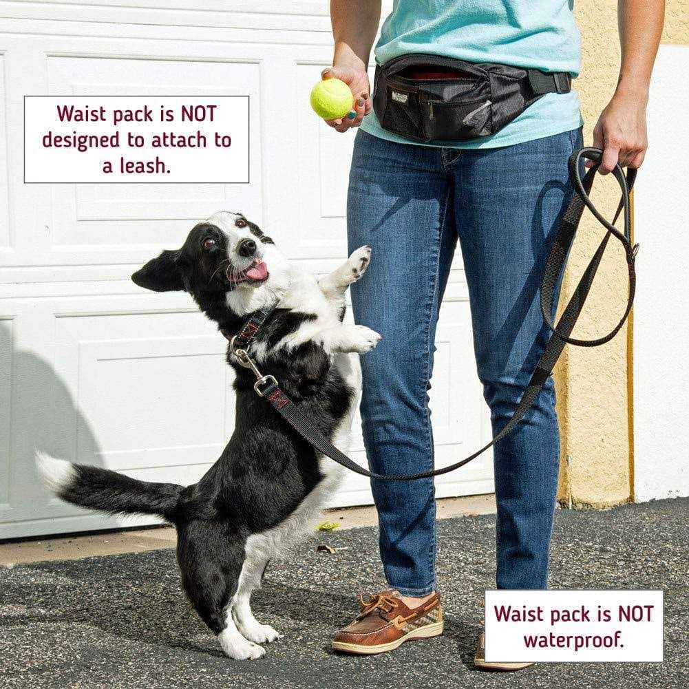 Dog Treat Training Pouch with Waste Bag Dispenser S30482
