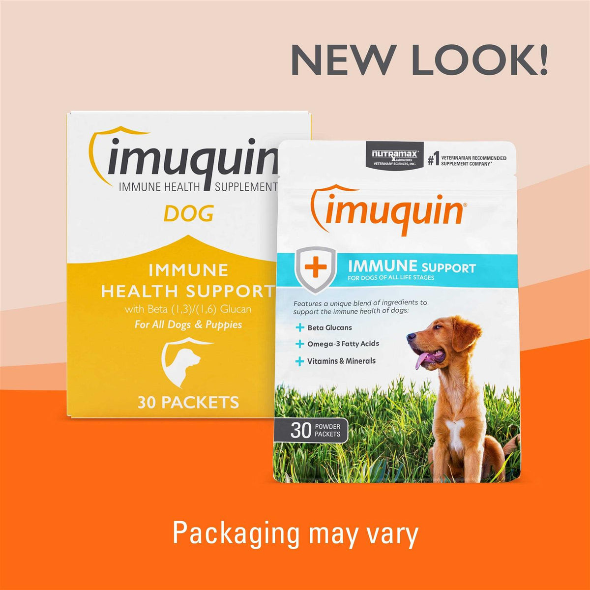 Immune Health Supplement Powder for Dogs W669397