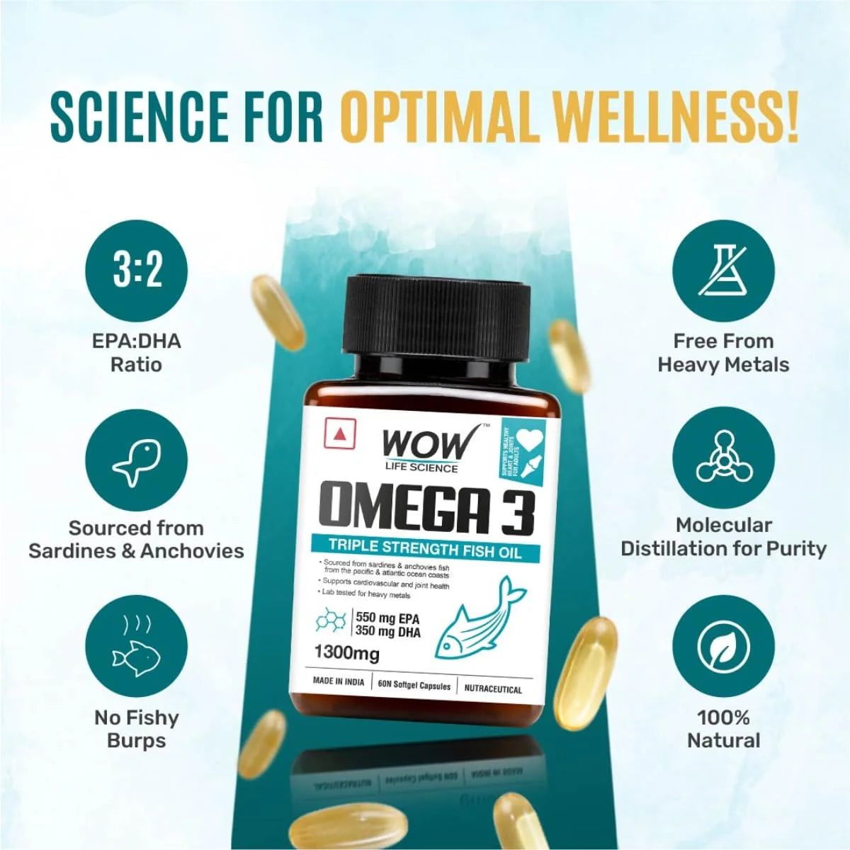 Omega 3 Fish Oil 1300mg 60 Capsules B133