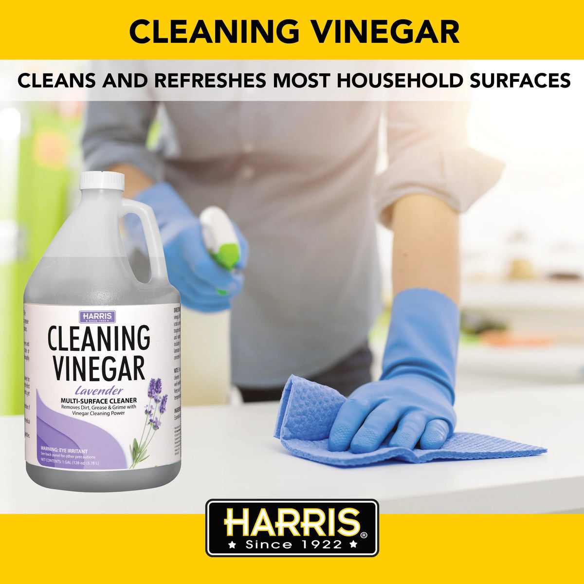 Lavender Scented Multi-Surface Vinegar Cleaner 1 Gallon H966097