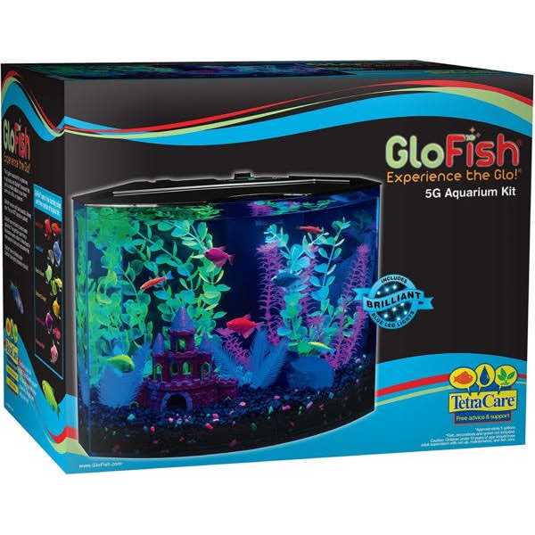 5-gallon Aquarium Fish Tank Kit with Decorations, LED Lighting, Filter and Water Conditioner B239