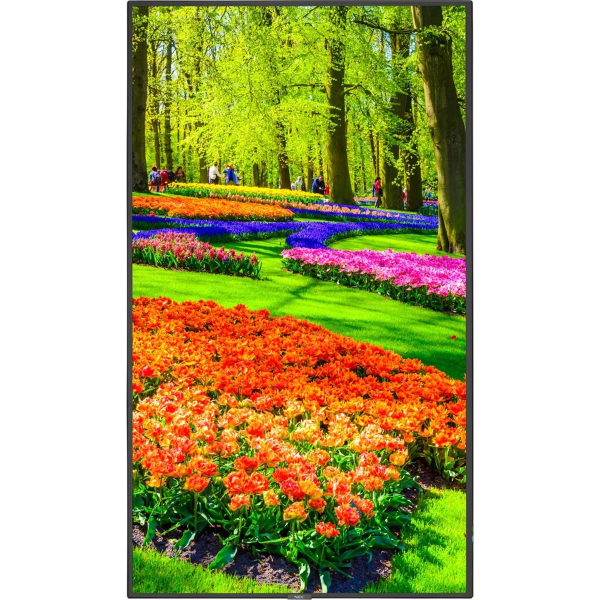 Black 43" 3840 x 2160 (4K) LED LCD Monitor J75535