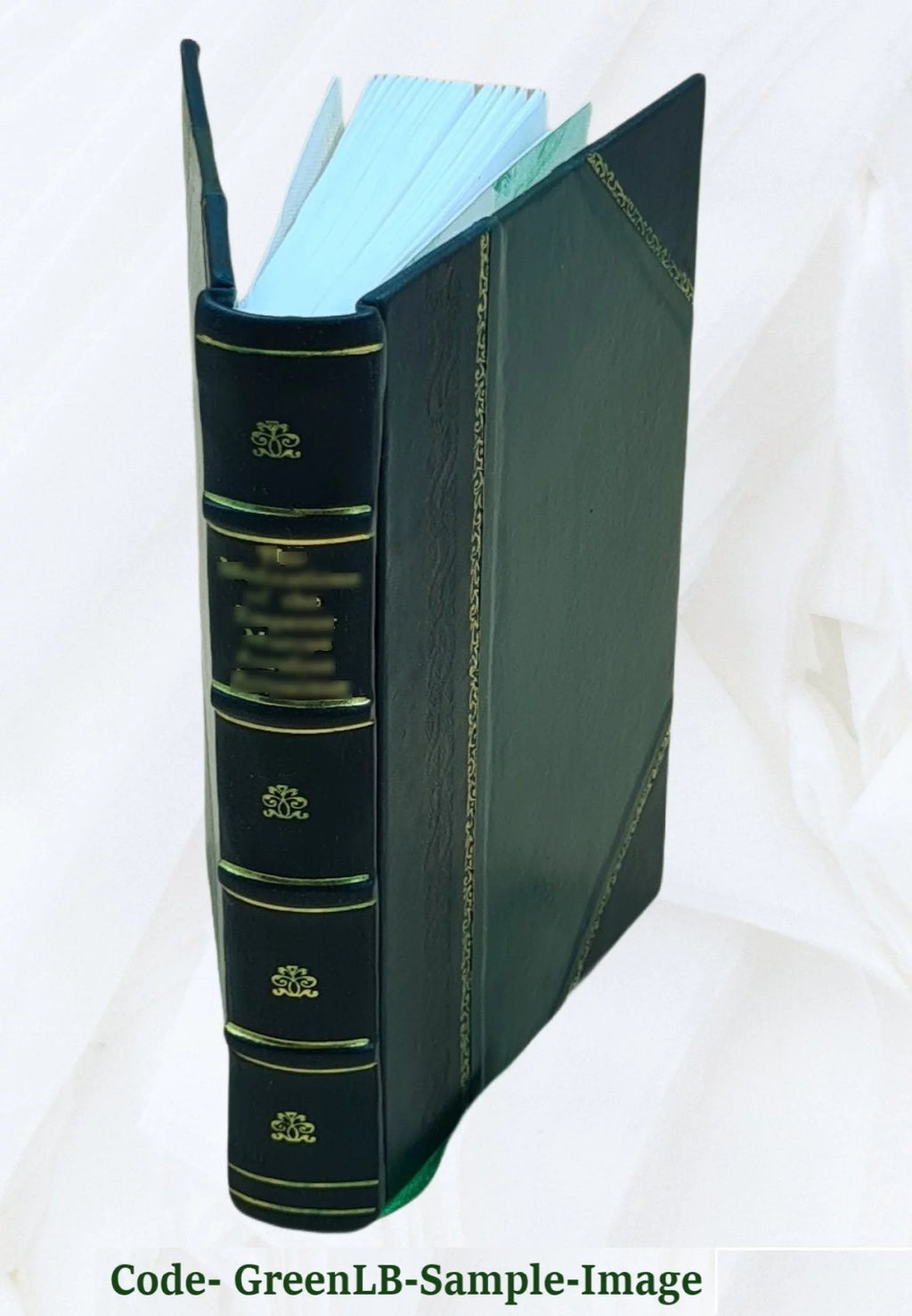 New Bern City Directory 1921 Leather Bound Y381