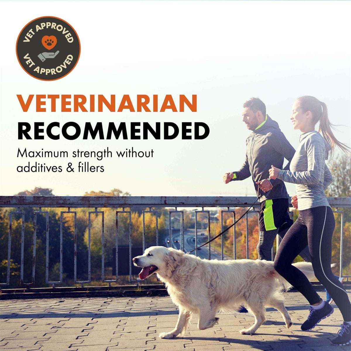 Puppy Multivitamin & Probiotic J884181