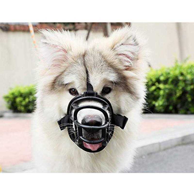 Leather Dog Muzzle Y714